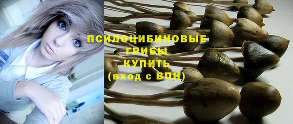 Альфа ПВП Алзамай