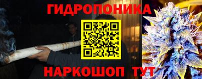 каннабис Северобайкальск